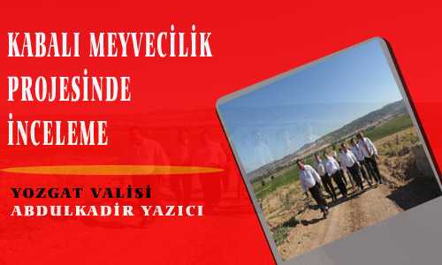 KABALI MEYVECİLİK PROJESİ