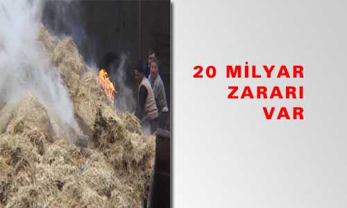 20 MİLYAR ZARARI VAR