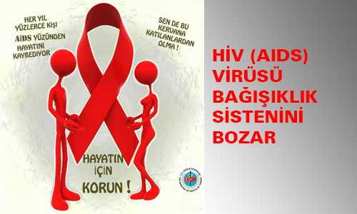 1 ARALIK DÜNYA AIDS GÜNÜ