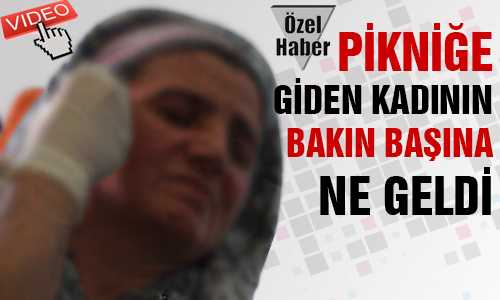 KENE KULAÐINDAN ÇIKARILDI