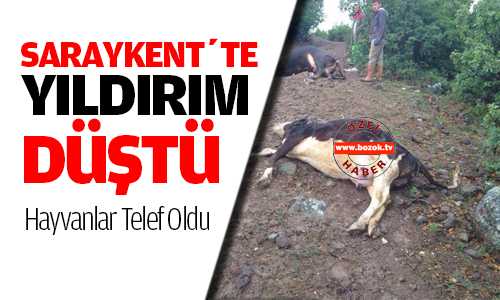 Saraykent’te Yıldırım Düşmesi Soncu Hayvanlar Telef Oldu