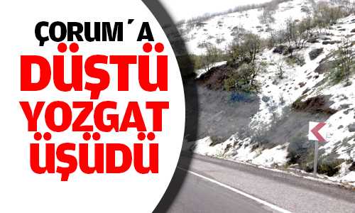 Mayıs Ayında Kar Yağdı