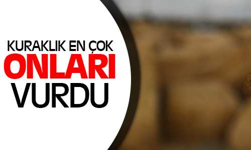 Kuraklık En Çok Çiftçiyi Vurdu Saman Sıkıntısı Yaşıyorlar