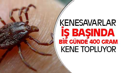 Yozgat’ta Yetişen Beç Tavukları Bilecik’te Köylere Dağıtımı Yapıldı