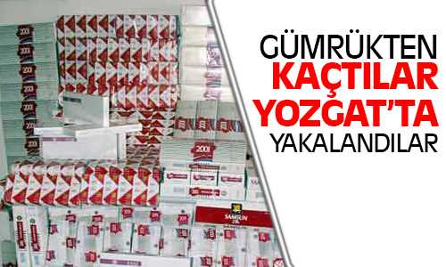 21 Bin Paket Gümrük Kaçağı Sigara Ele Geçirildi