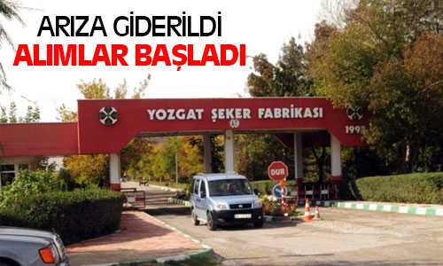 Yozgat Şeker Fabrikası 4 Günlük Aradan Sonra Pancar Alımına Başladı
