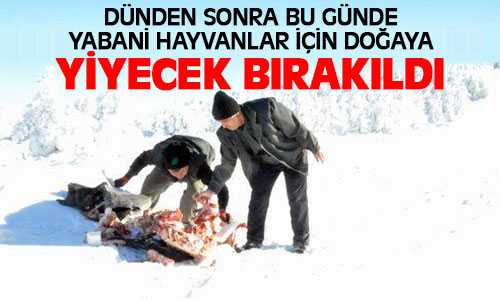 Yabani Hayvanlara Doğaya Yiyecek Bıraklıdı