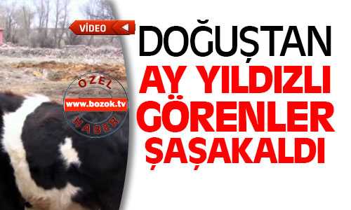 Doğuştan Ay Yıldızlı Görenler Şaşırıyor
