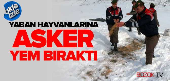 İl Jandarma Komutanlığı Personeli Doğaya Yem Bıraktı