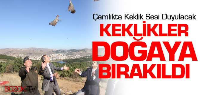 Milli Park Çamlık'ta Keklik Sesi Duyulacak
