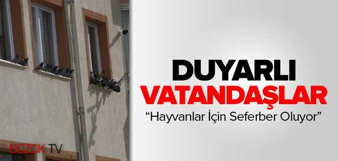 Vatanşdalar Kuşlar İçin Yem Pencere Önlerine Bırakıyor