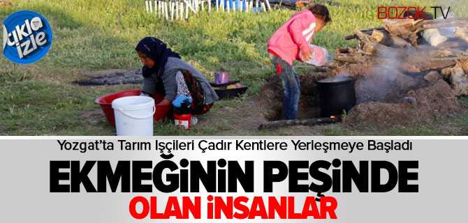 Ekmeğinin Peşinde Olan İnsanlar