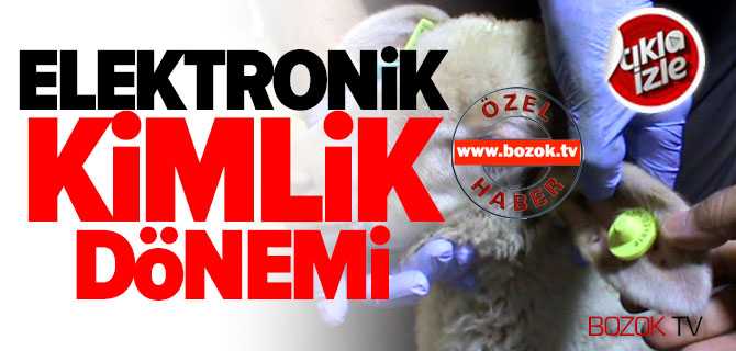 Koyun Ve Keçilere Elektronik Kimlik