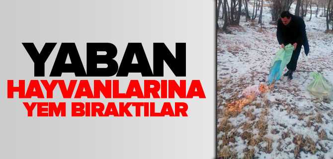 Yaban Hayvanlarına Yem Bıraktılar