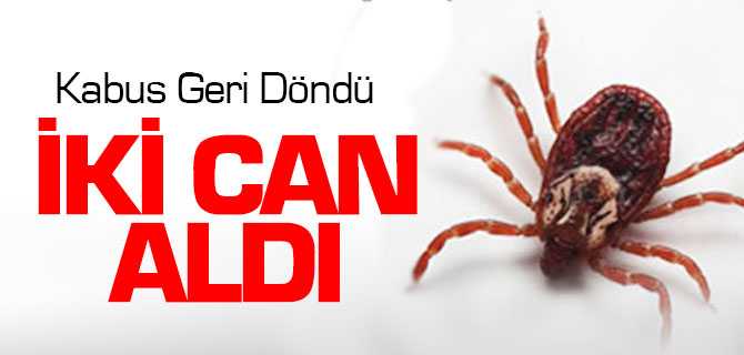 Kene Yozgat'ta İki Can Aldı