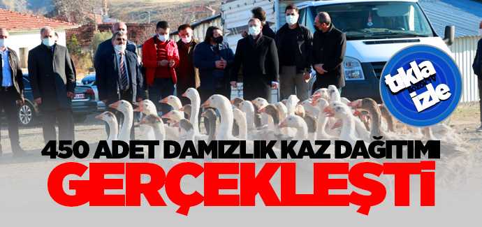 Yozgat Damızlık Kaz ıslahı AR-GE Projesi kapsamında düzenlenen törenle 8 üreticiye 450 adet yetişkin damızlık kaz dağıtıldı