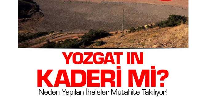 Neden Yapılan İhaleler Mütahite Takılıyor