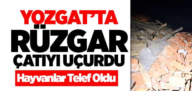 Şiddetli Rüzgar çatıyı uçurdu, hayvanlar telef oldu