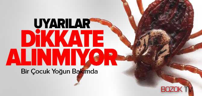 12 Yaşında Ki Çocuk KKKA Nedeniyle Hastaneye Kaldırıldı