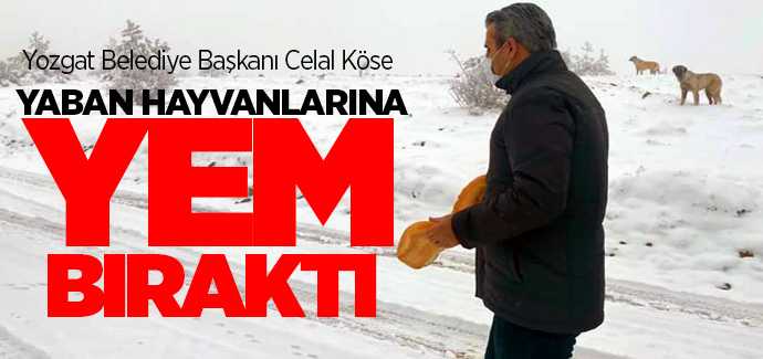 Başkan Köse yaban hayvanlarına yem bıraktı