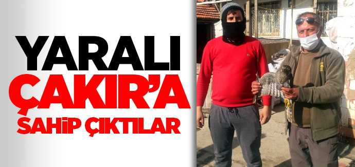 Yaralı Çakır'a sahip çıktılar