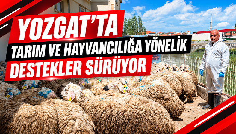 Yozgat’ta Tarım ve Hayvancılığa Yönelik Destekler Sürüyor