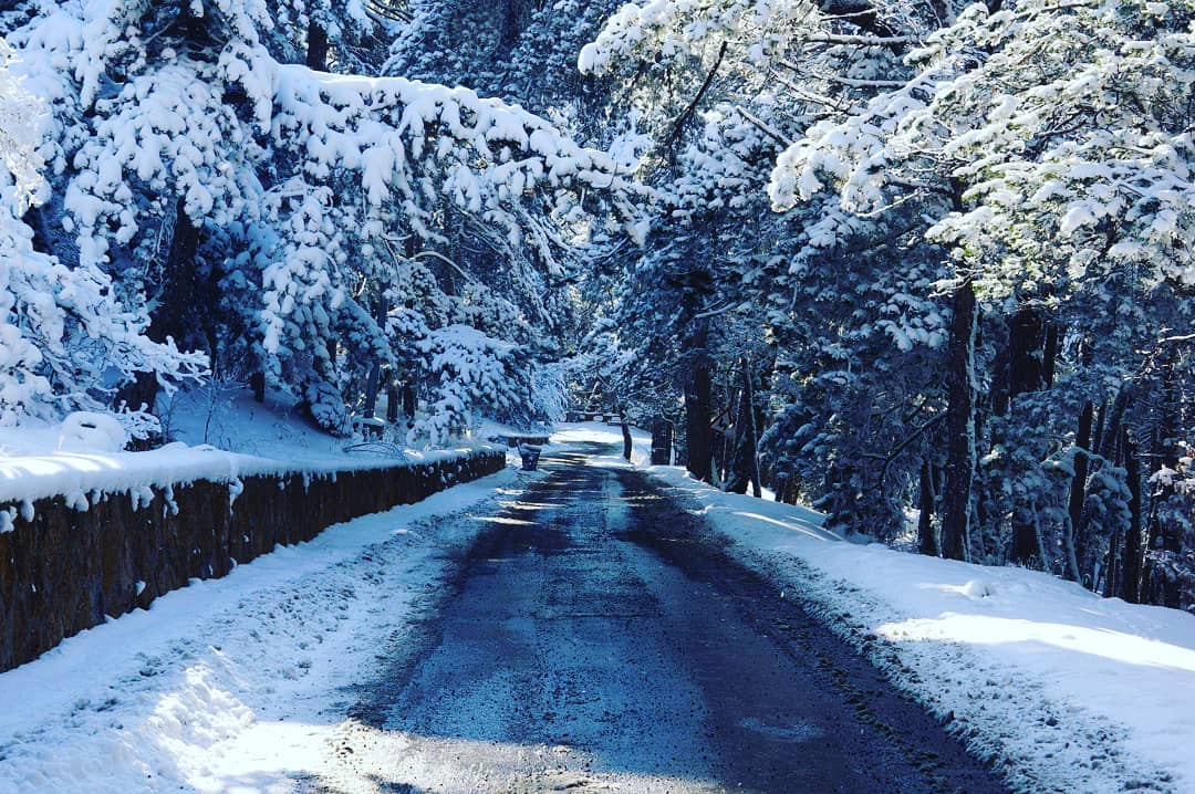 Yozgat Çamlık Kış Manzaraları