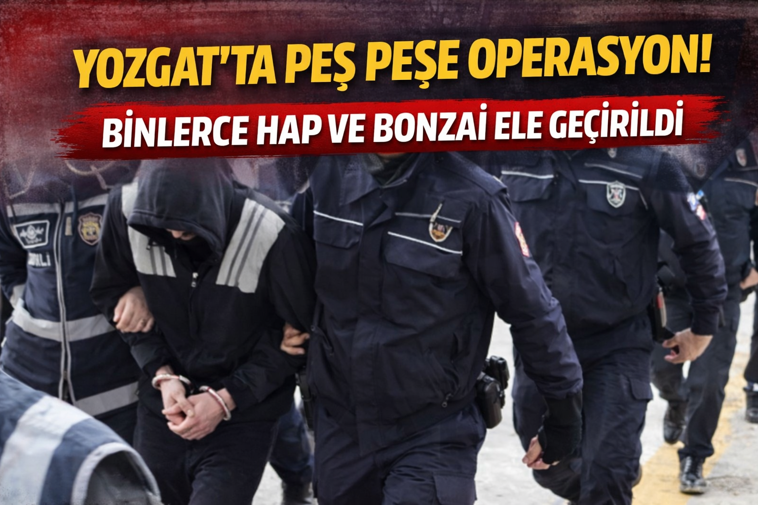 Yozgat’ta Peş Peşe Operasyon: Binlerce Hap ve Bonzai Ele Geçirildi